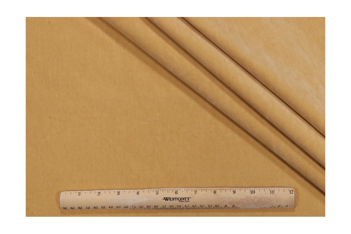 Leslie Jee Textiles Ritz Velvet Upholstery Fabric in Spotlight