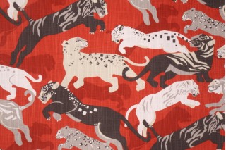 Animal Prints