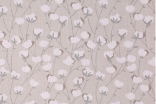 Floral/Vine Prints