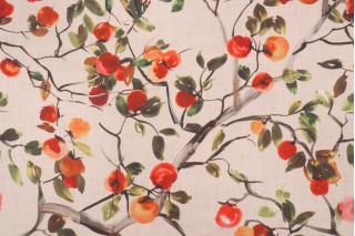 Fruit & Veggie Prints