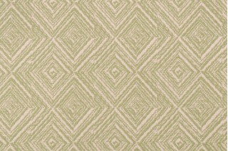 Tristan Leaf Green Tropical Drapery Fabric by Richloom Platinum