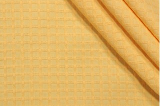 Scalamandre Domino Woven Decorator Fabric in Mangue