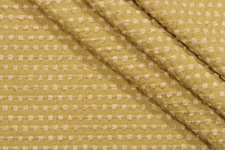 Champagne Off-White Velvet Fabric | Upholstery | 100% Cotton | 54 Wide |  By the Yard | Kaufmann Taboo in Champagne