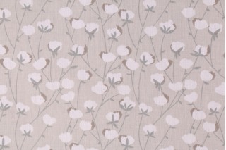 Cotton Fabric