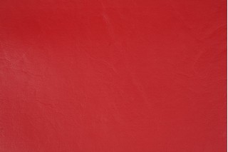 Marine Grade Vinyl Outdoor Upholstery Fabric in Red 