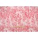 Thibaut South Beach F96119 Printed Cotton Drapery Fabric in Pink